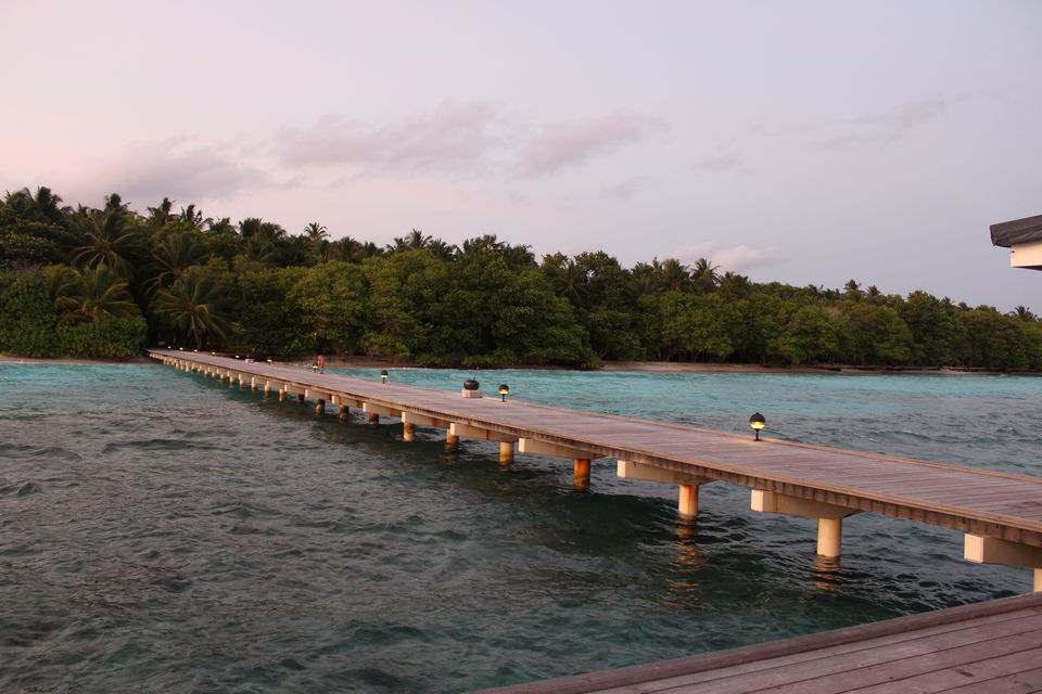 Photo of Maldives – Underwater heaven! 14/16 by Abhinav Chaudhary