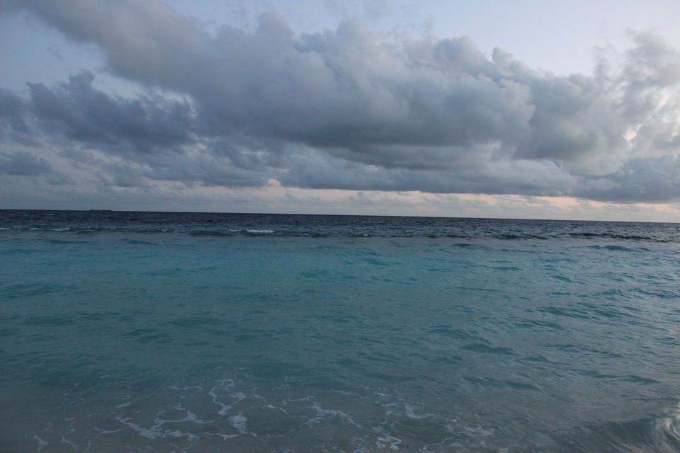 Photo of Maldives – Underwater heaven! 16/16 by Abhinav Chaudhary