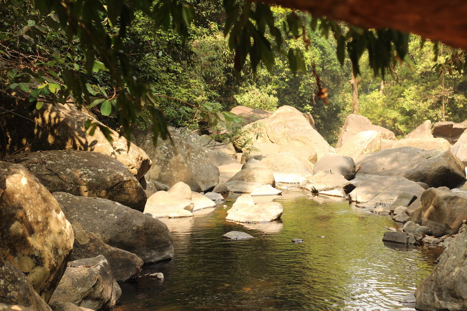 Photo of Hanuman Gundi, the Valley Waterfall 2/4 by Vaishnavi Kale