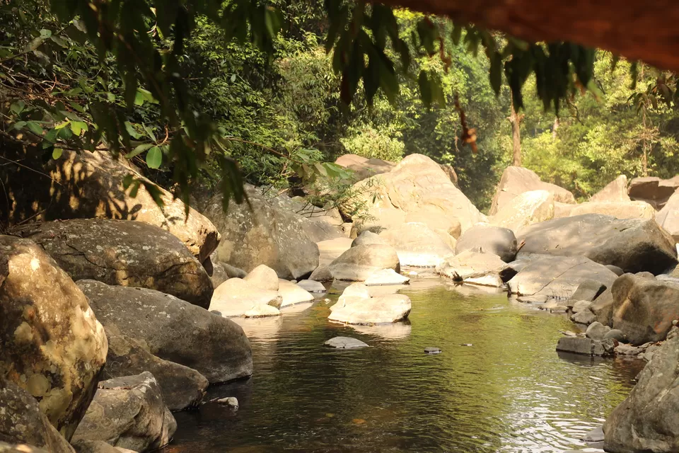 Photo of Hanuman Gundi Falls, entry point & ticket counter, Kalasa Main Rd, Sheerlu, Karnataka 577142, India by Vaishnavi Kale
