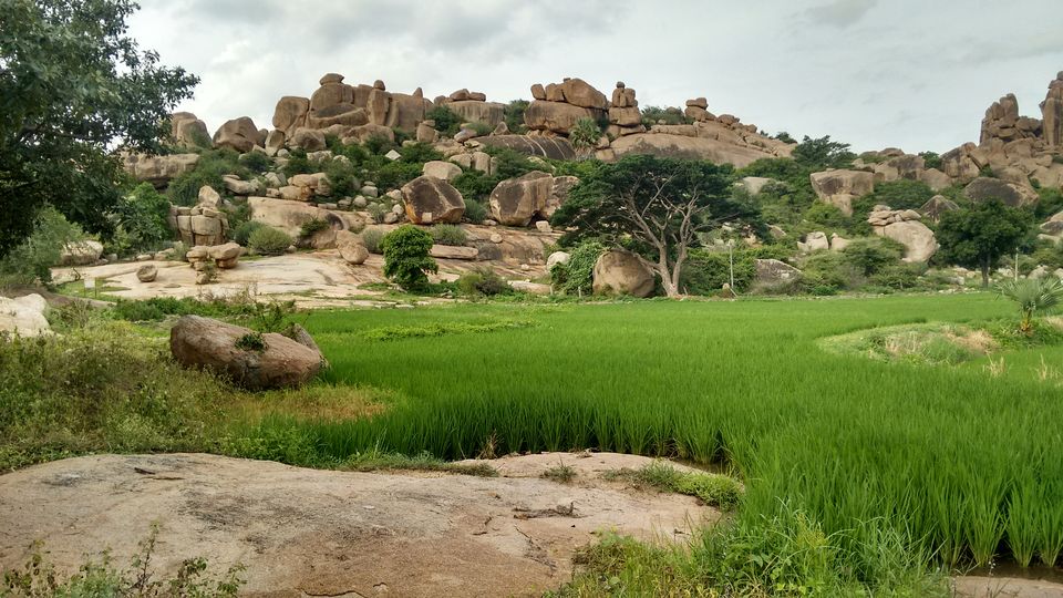 Photo of Backpack-1 Hampi ( Great Glory Of Vijayanagara ) 34/38 by Tejashree Tekawade