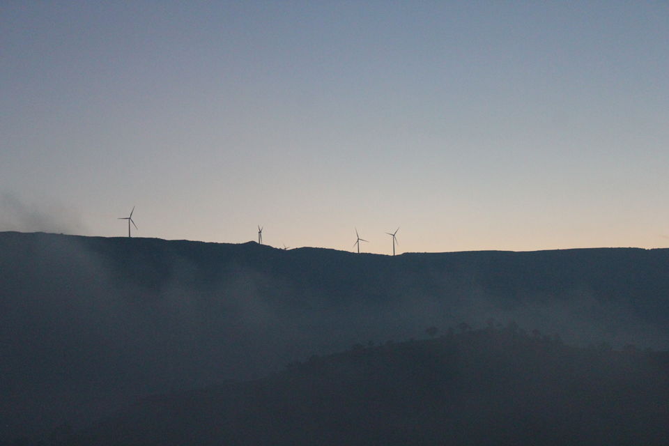 Photo of A Chilly Morning 3/11 by Tejashree Tekawade