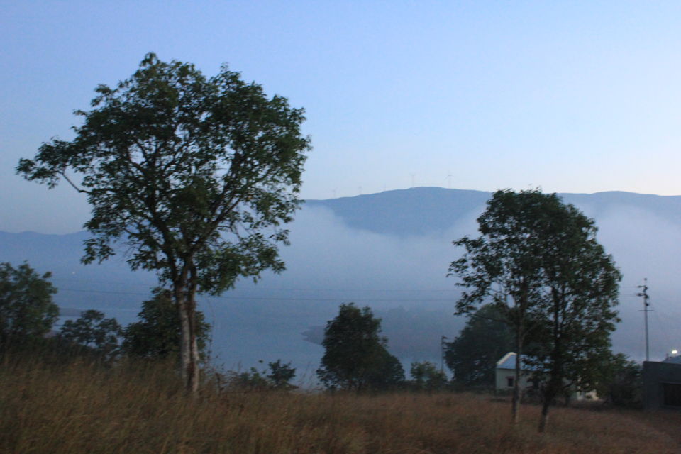Photo of A Chilly Morning 6/11 by Tejashree Tekawade