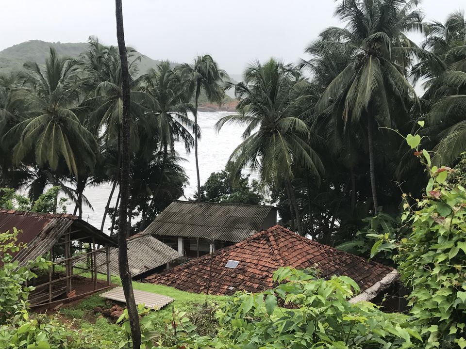 Photo of Uncharted glimpse of Kokan 8/11 by Tejashree Tekawade