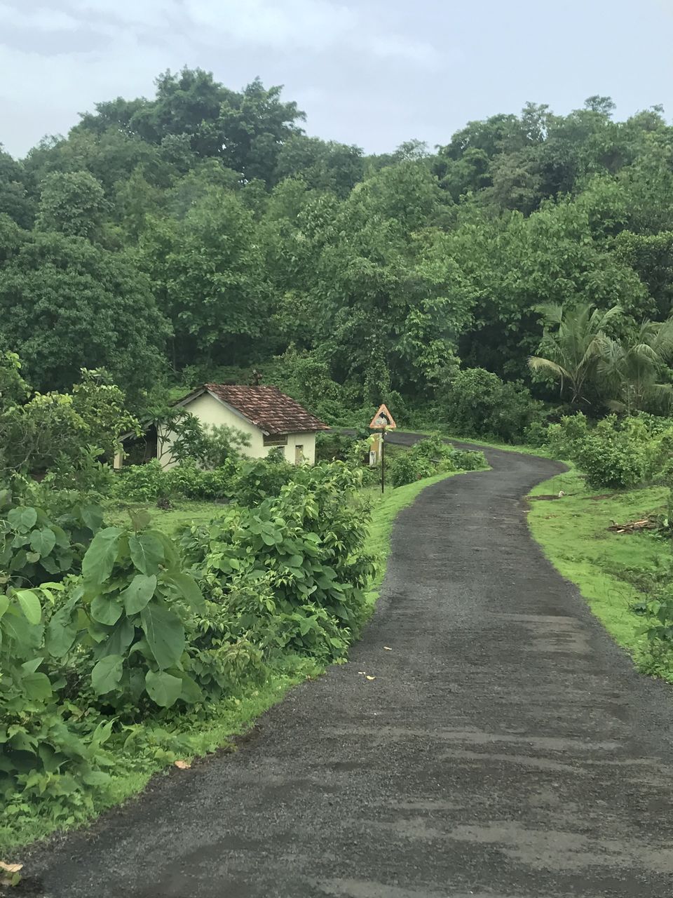 Photo of Uncharted glimpse of Kokan 7/11 by Tejashree Tekawade