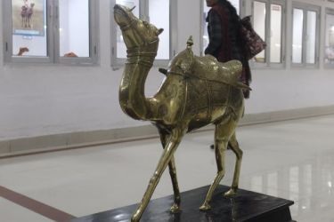 Photo of Choto so shahar, mahro Bikaner 66/107 by The Travellist