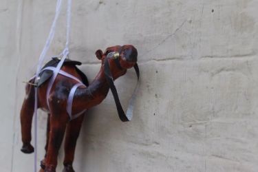 Photo of Choto so shahar, mahro Bikaner 70/107 by The Travellist