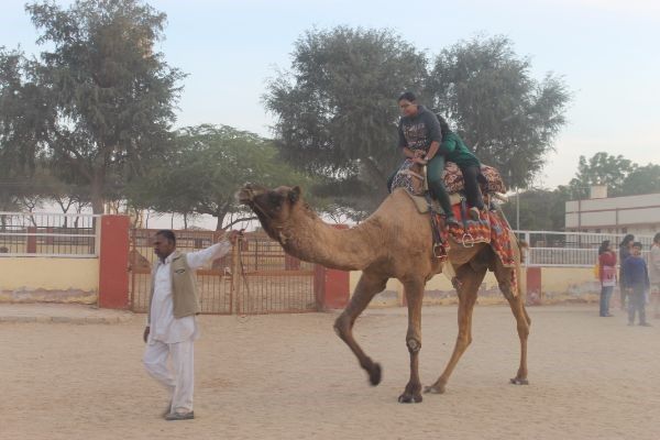 Photo of Choto so shahar, mahro Bikaner 73/107 by The Travellist