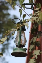 Photo of Choto so shahar, mahro Bikaner 76/107 by The Travellist