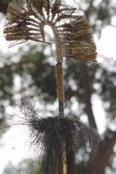 Photo of Choto so shahar, mahro Bikaner 77/107 by The Travellist