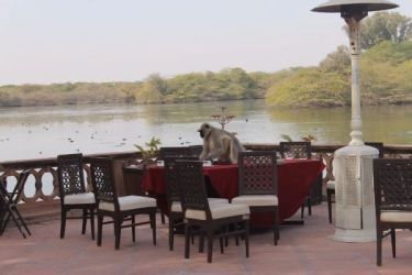 Photo of Choto so shahar, mahro Bikaner 85/107 by The Travellist