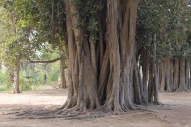 Photo of Choto so shahar, mahro Bikaner 86/107 by The Travellist