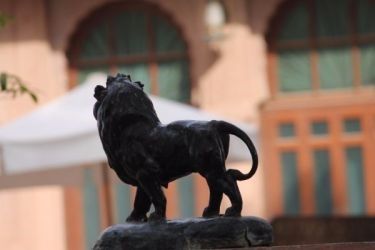 Photo of Choto so shahar, mahro Bikaner 88/107 by The Travellist