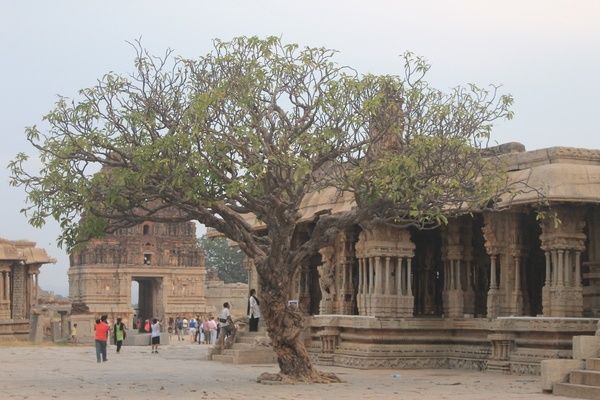 Photo of 14 questions to help you plan your trip to Hampi 30/36 by The Travellist