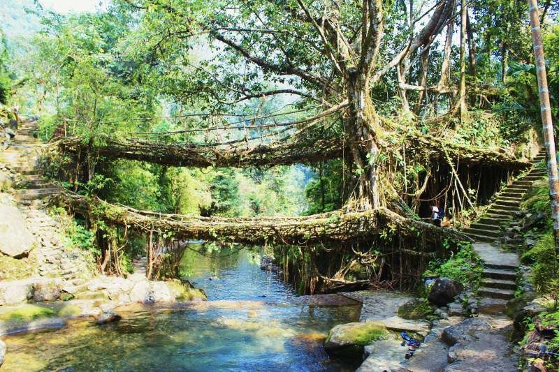 Photo of Nongriat, Meghalaya, India by The Travellist
