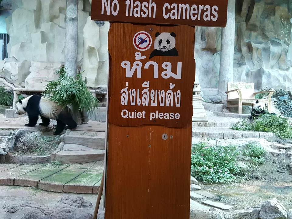 Photo of Chiang Mai Zoo Panda House Su Thep Chiang Mai Thailand by Neyha Jain