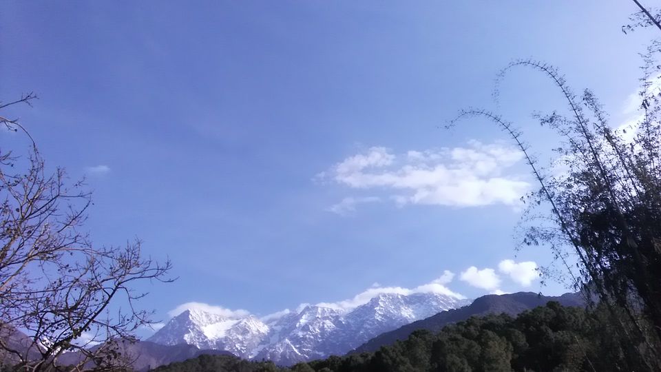 Photo of Backpacking solo in Kangra Valley. by उदय वीर सिंह गुलेरिया