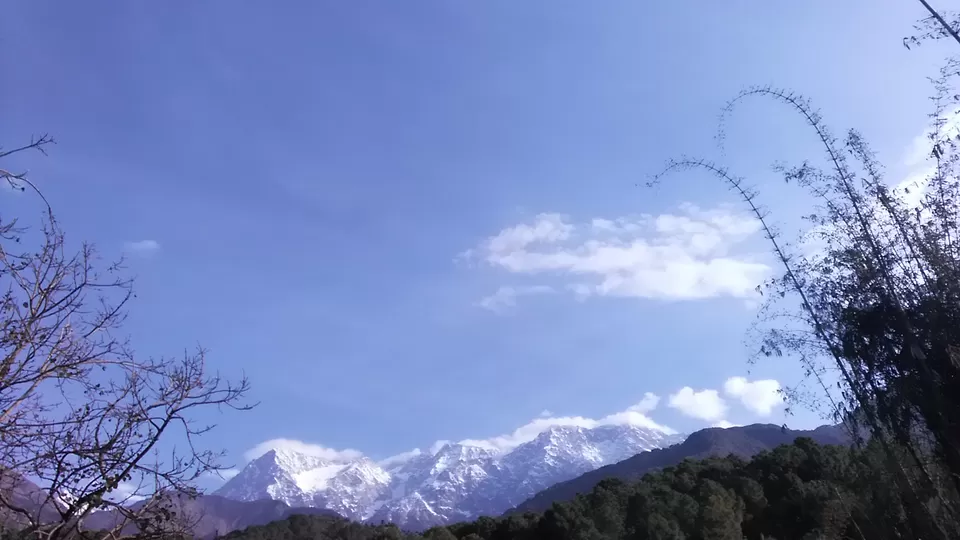 Photo of DHAULADHAR HILLS by उदय वीर सिंह गुलेरिया