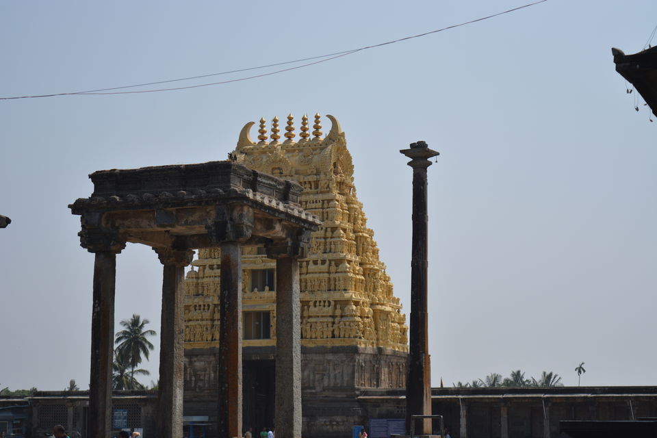 Photo of Road trip from Bangalore to Chikamaglur 16/156 by Prashant Agrawal