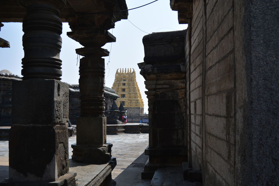 Photo of Road trip from Bangalore to Chikamaglur 17/156 by Prashant Agrawal
