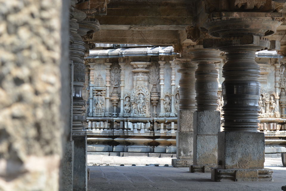 Photo of Road trip from Bangalore to Chikamaglur 19/156 by Prashant Agrawal
