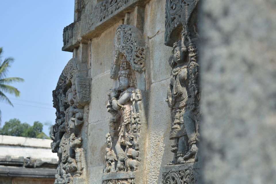 Photo of Road trip from Bangalore to Chikamaglur 29/156 by Prashant Agrawal