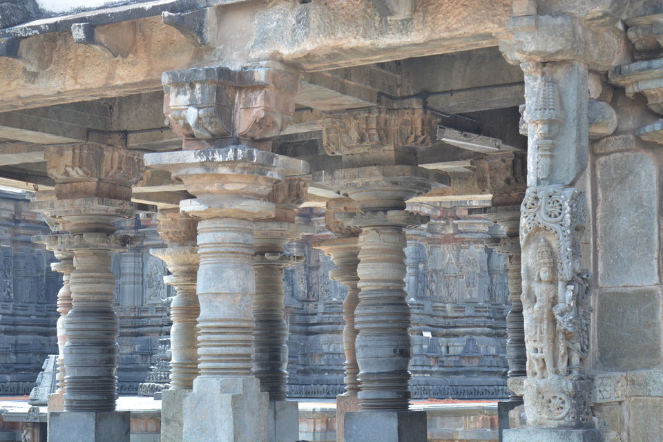 Photo of Road trip from Bangalore to Chikamaglur 35/156 by Prashant Agrawal