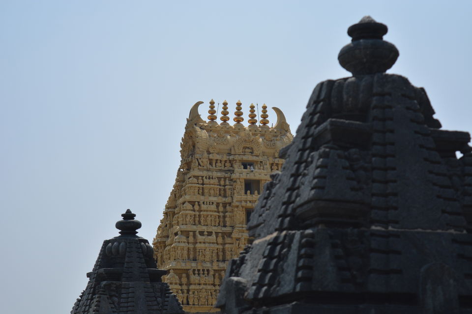 Photo of Road trip from Bangalore to Chikamaglur 39/156 by Prashant Agrawal