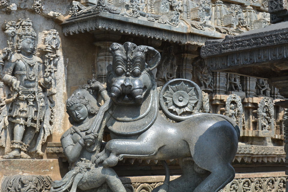 Photo of Road trip from Bangalore to Chikamaglur 45/156 by Prashant Agrawal