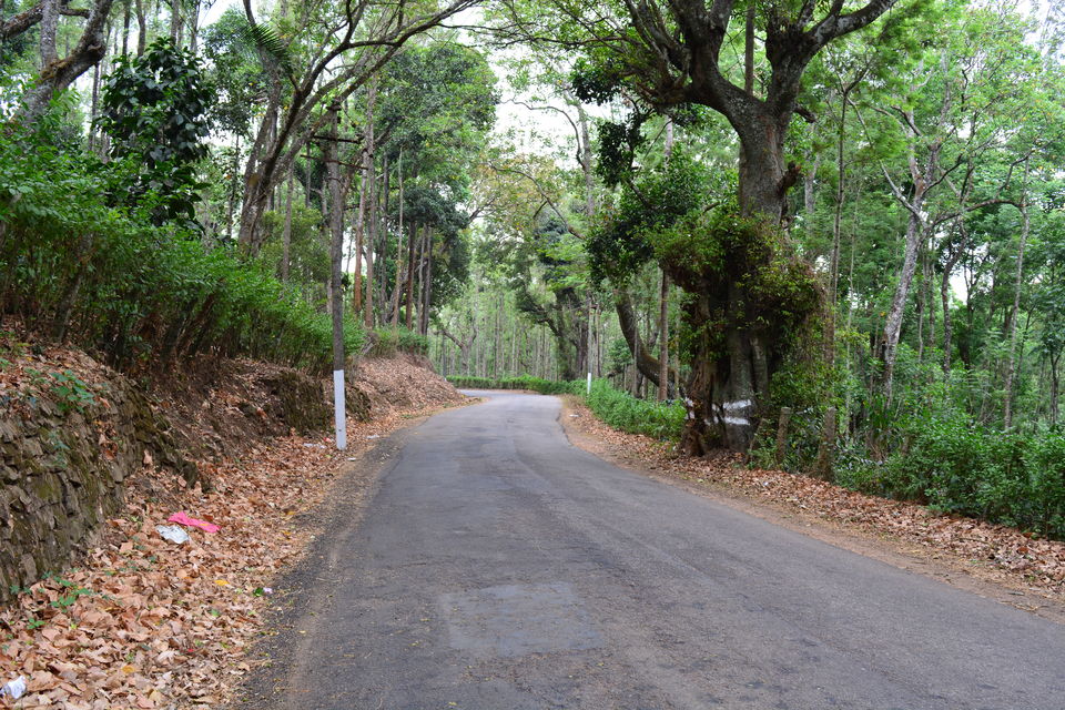 Photo of Road trip from Bangalore to Chikamaglur 62/156 by Prashant Agrawal