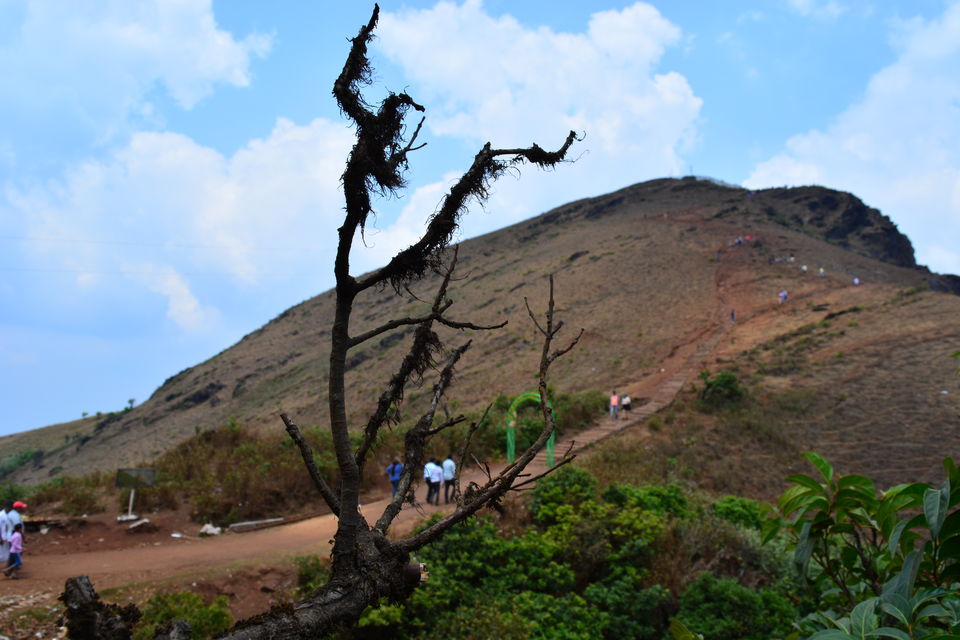 Photo of Road trip from Bangalore to Chikamaglur 67/156 by Prashant Agrawal