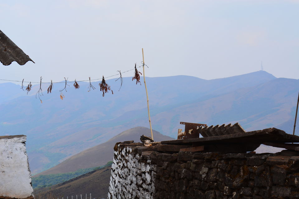 Photo of Road trip from Bangalore to Chikamaglur 72/156 by Prashant Agrawal