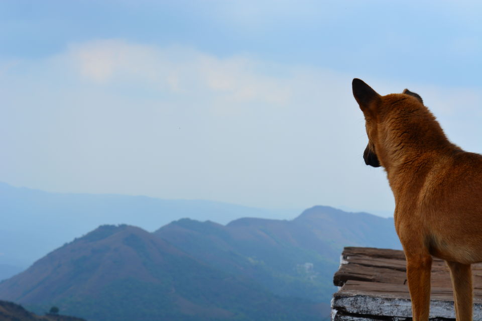 Photo of Road trip from Bangalore to Chikamaglur 75/156 by Prashant Agrawal