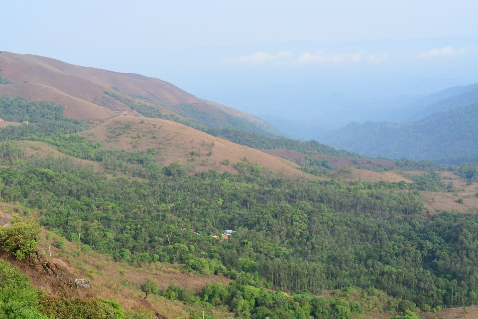 Photo of Road trip from Bangalore to Chikamaglur 84/156 by Prashant Agrawal