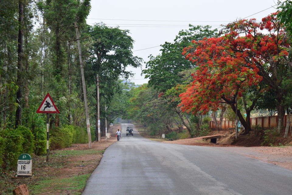Photo of Road trip from Bangalore to Chikamaglur 89/156 by Prashant Agrawal