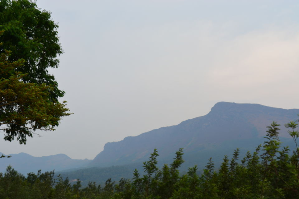 Photo of Road trip from Bangalore to Chikamaglur 90/156 by Prashant Agrawal