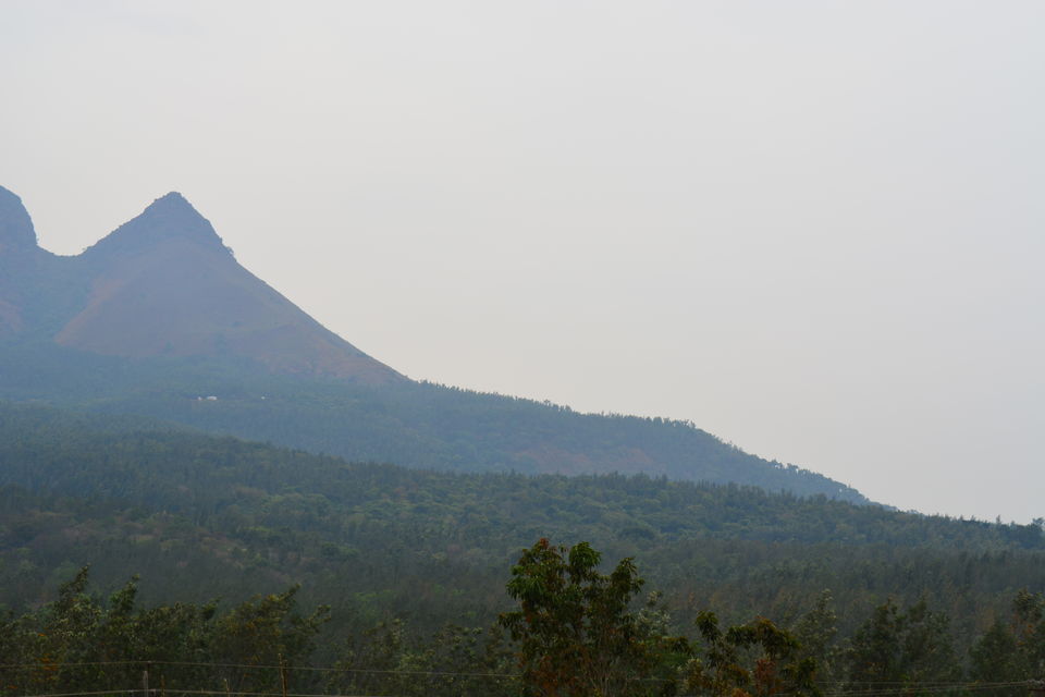 Photo of Road trip from Bangalore to Chikamaglur 91/156 by Prashant Agrawal