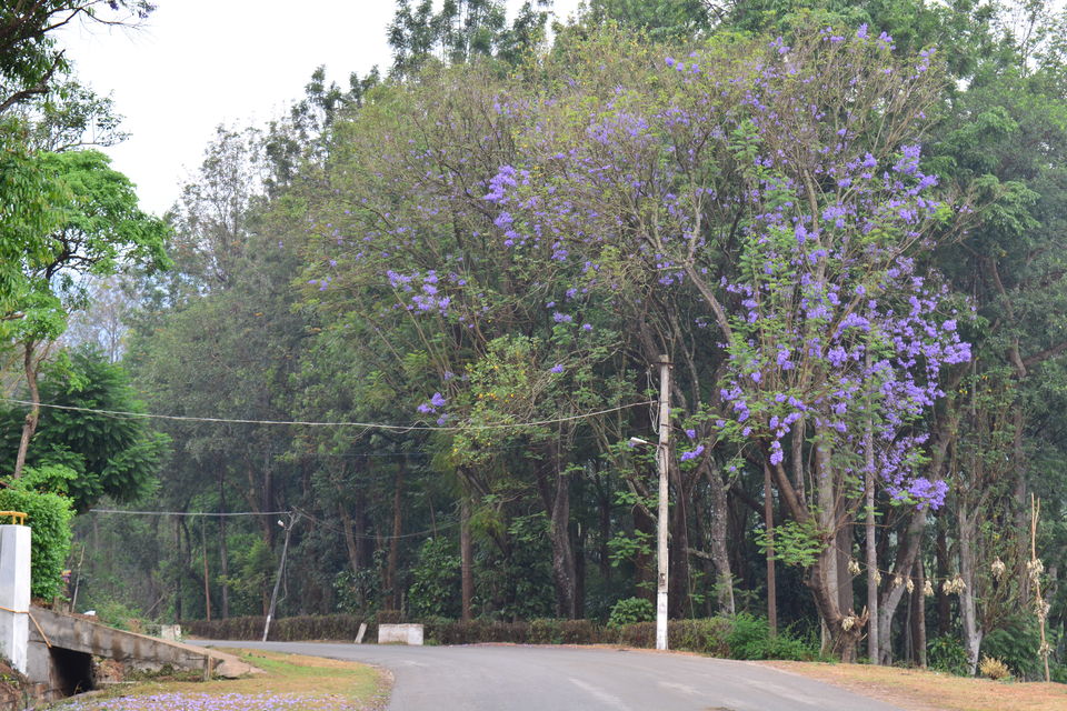 Photo of Road trip from Bangalore to Chikamaglur 92/156 by Prashant Agrawal