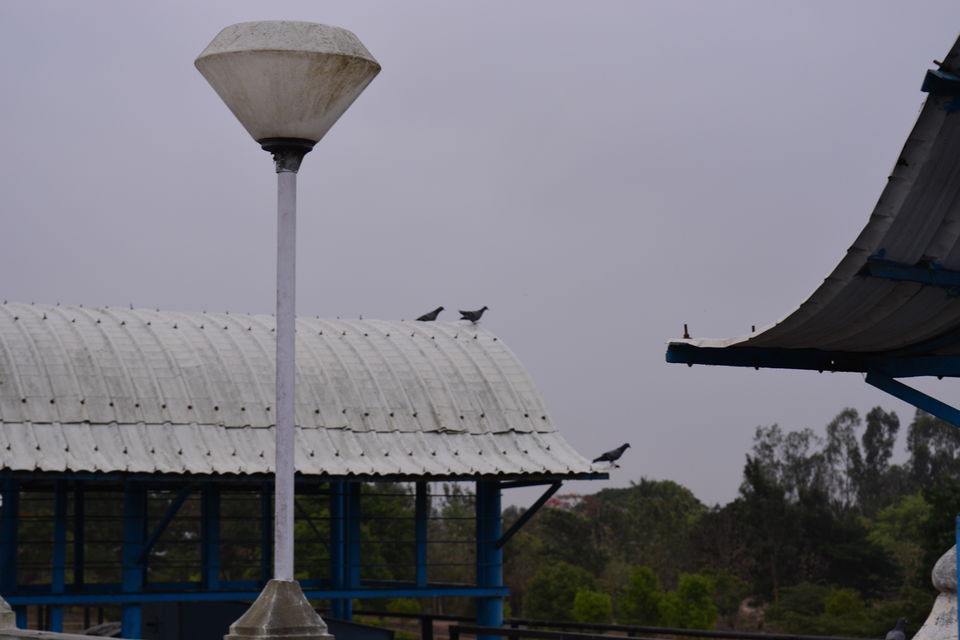 Photo of Road trip from Bangalore to Chikamaglur 96/156 by Prashant Agrawal