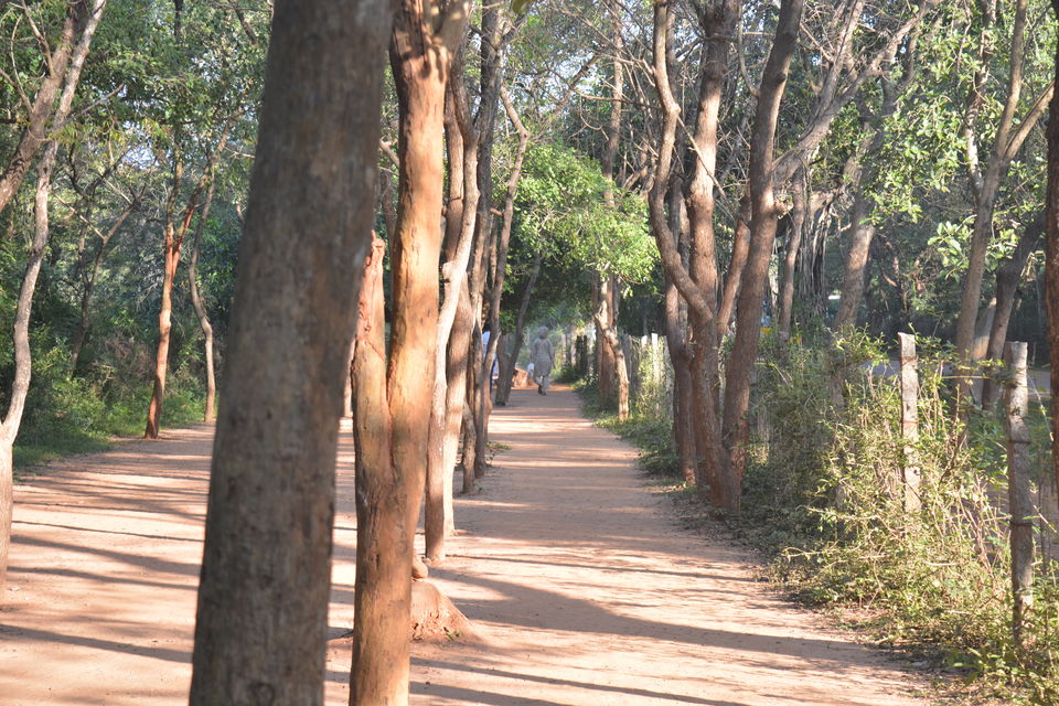 Photo of Road Trip to Pondicherry and Pichavaram - Gone travelling to edge of the sands by Prashant Agrawal