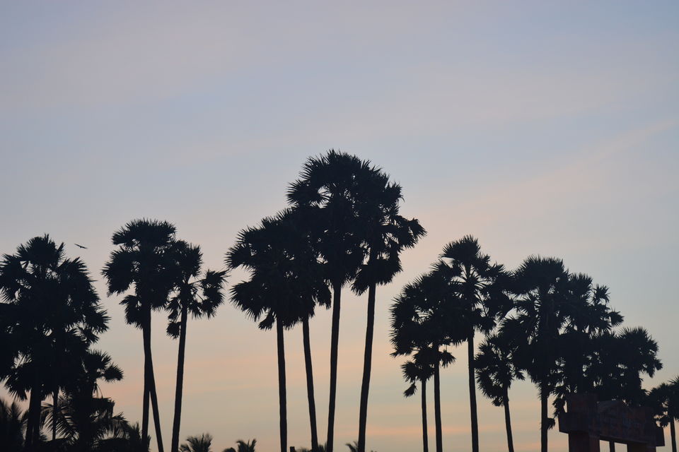 Photo of Road Trip to Pondicherry and Pichavaram - Gone travelling to edge of the sands by Prashant Agrawal