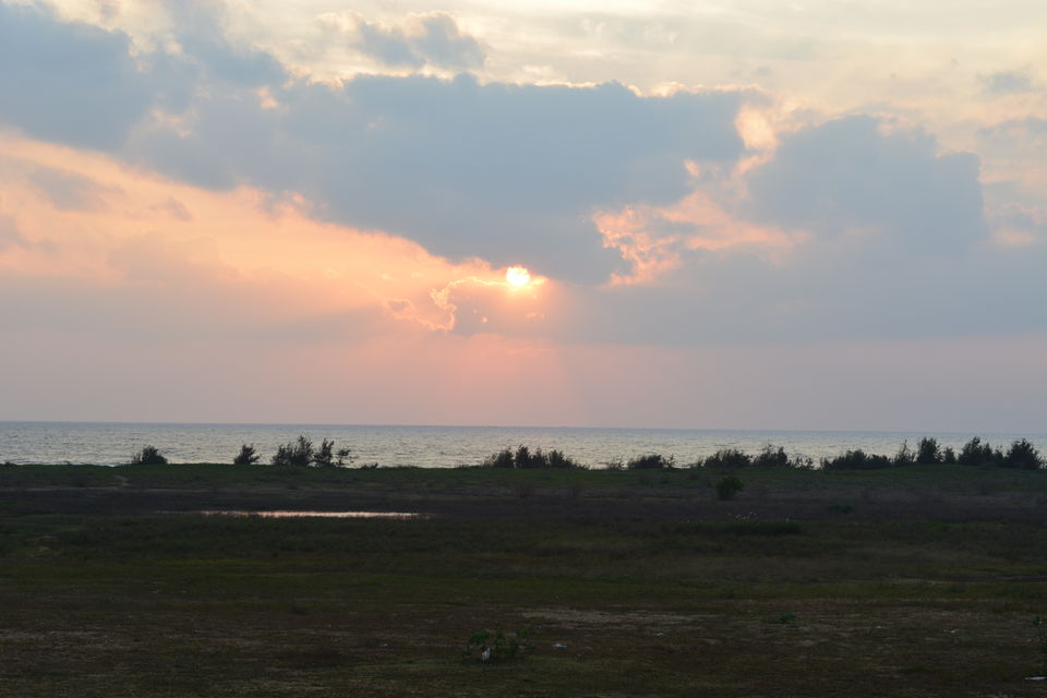 Photo of Road Trip to Pondicherry and Pichavaram - Gone travelling to edge of the sands by Prashant Agrawal