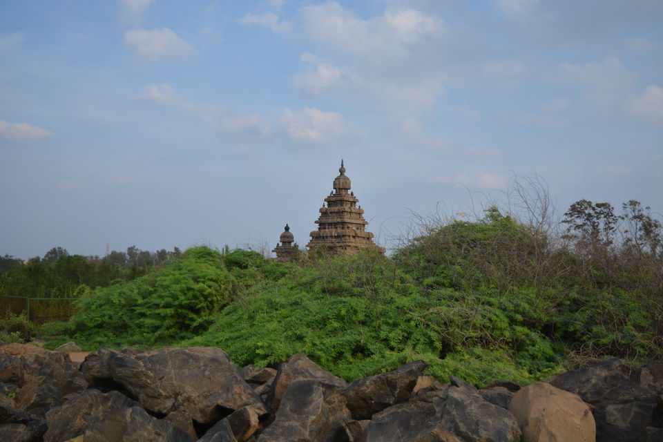 Photo of Road Trip to Pondicherry and Pichavaram - Gone travelling to edge of the sands by Prashant Agrawal