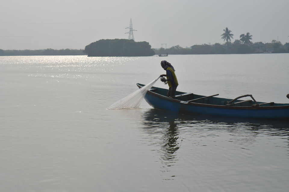 Photo of Road Trip to Pondicherry and Pichavaram - Gone travelling to edge of the sands by Prashant Agrawal