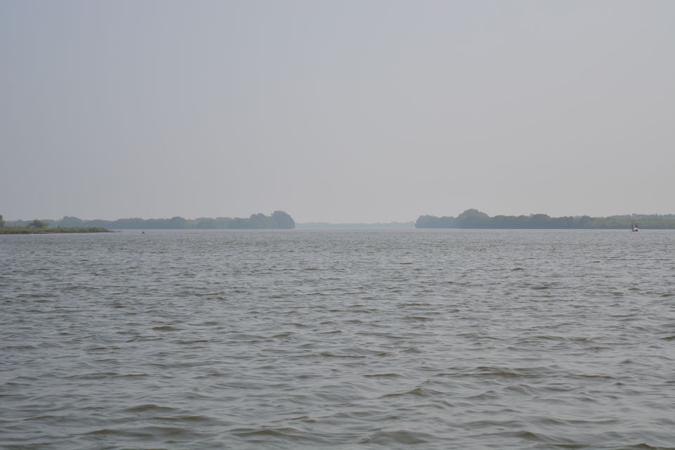 Photo of Road Trip to Pondicherry and Pichavaram - Gone travelling to edge of the sands by Prashant Agrawal