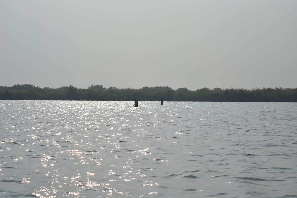 Photo of Road Trip to Pondicherry and Pichavaram - Gone travelling to edge of the sands by Prashant Agrawal