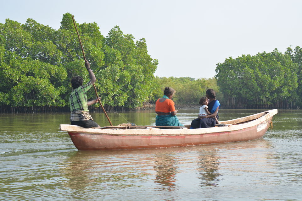 Photo of Road Trip to Pondicherry and Pichavaram - Gone travelling to edge of the sands by Prashant Agrawal