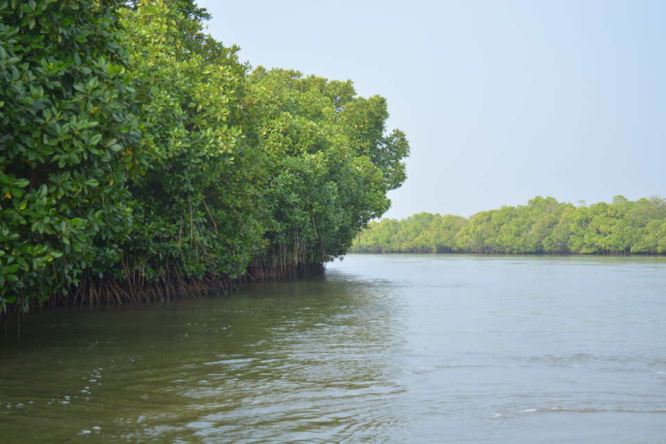 Photo of Road Trip to Pondicherry and Pichavaram - Gone travelling to edge of the sands by Prashant Agrawal