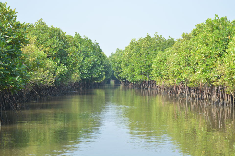 Photo of Road Trip to Pondicherry and Pichavaram - Gone travelling to edge of the sands by Prashant Agrawal
