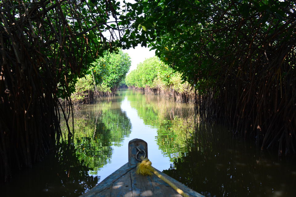Photo of Road Trip to Pondicherry and Pichavaram - Gone travelling to edge of the sands by Prashant Agrawal